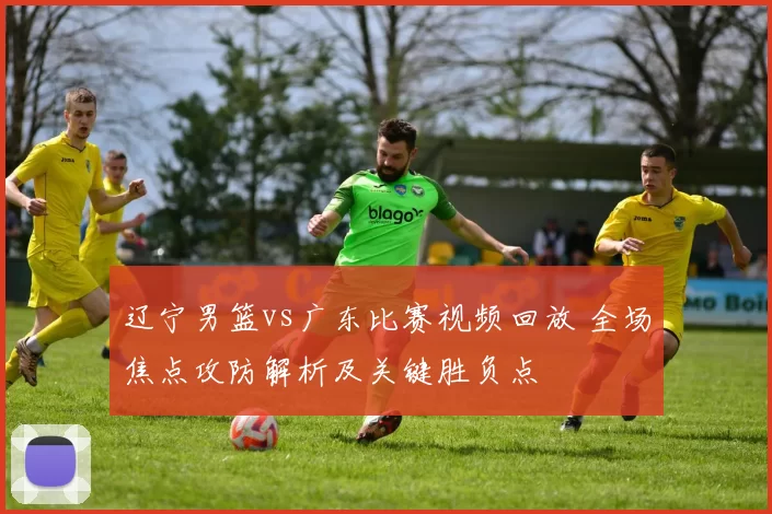 辽宁男篮vs广东比赛视频回放 全场焦点攻防解析及关键胜负点