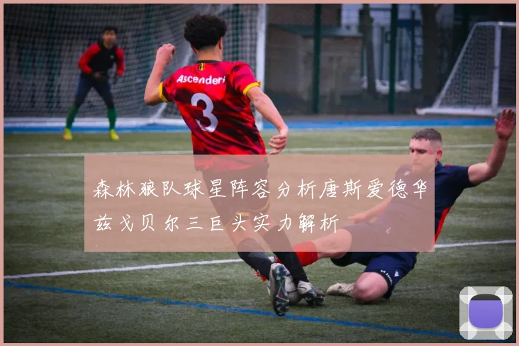 森林狼队球星阵容分析唐斯爱德华兹戈贝尔三巨头实力解析